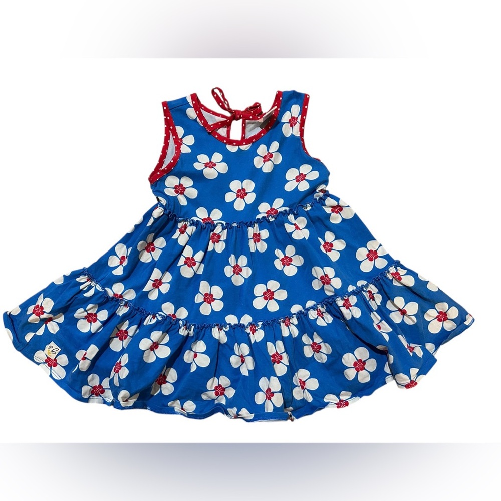 Wildflowers Blue Floral Dress with Red Trim